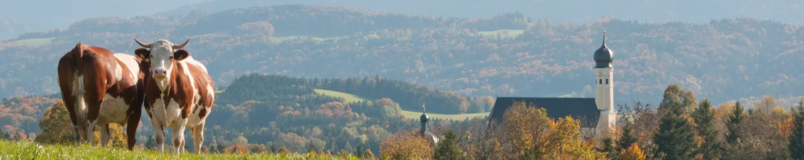 Großtierpraxis Bad Feilnbach GmbH unter Bad Feilnbach, Bayern